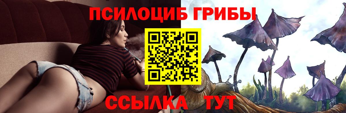 Галлюциногенные грибы Psilocybine cubensis  купить наркоту  Изобильный  Вход с VPN 